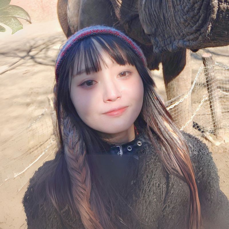 しらくま先生